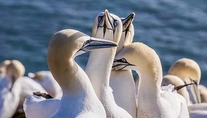 快手涨赞秘诀：24小时自助低价推广攻略